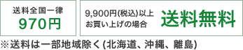 平日13時までのご注文最短当日出荷、送料全国一律970円、9,000円（税別）以上送料無料