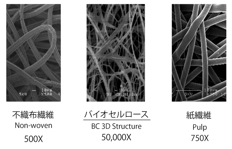 繊維比較