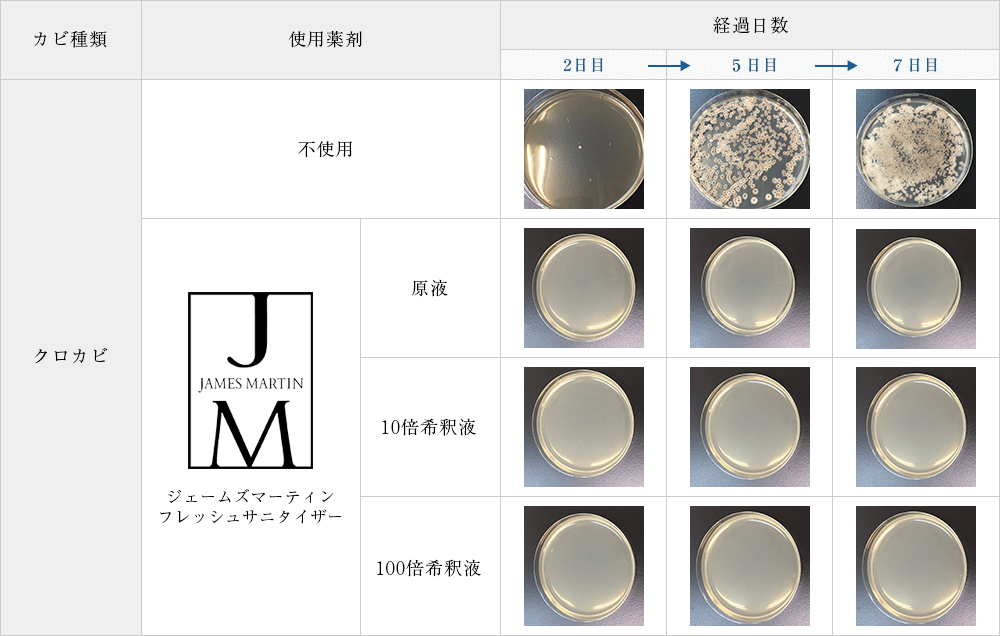 カビ殺菌効果試験