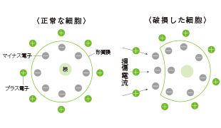 POINT3