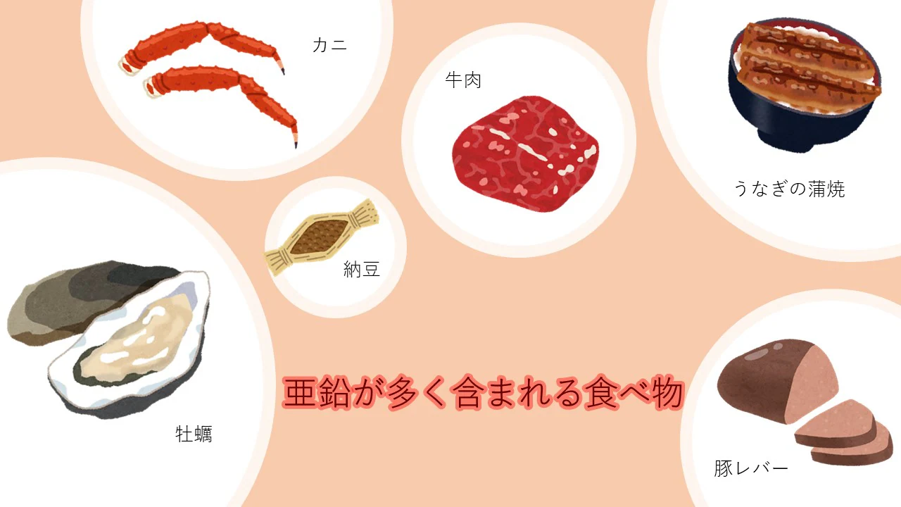 亜鉛を多く含む食材