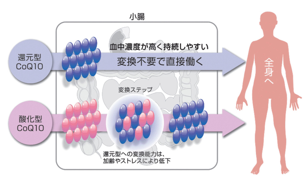 ナコエンザイムQ10しくい